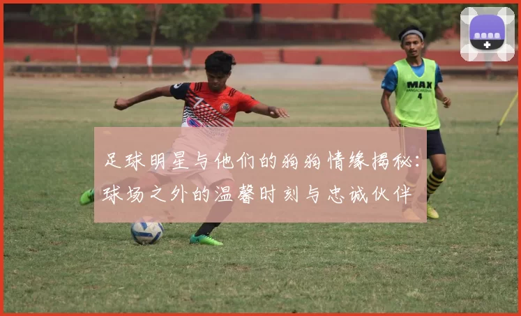 足球明星与他们的狗狗情缘揭秘：球场之外的温馨时刻与忠诚伙伴