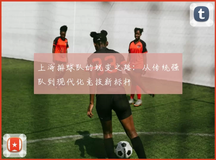 上海排球队的蜕变之路：从传统强队到现代化竞技新标杆
