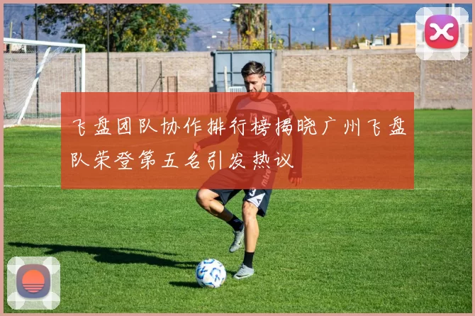 飞盘团队协作排行榜揭晓广州飞盘队荣登第五名引发热议