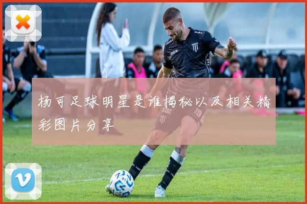 杨可足球明星是谁揭秘以及相关精彩图片分享