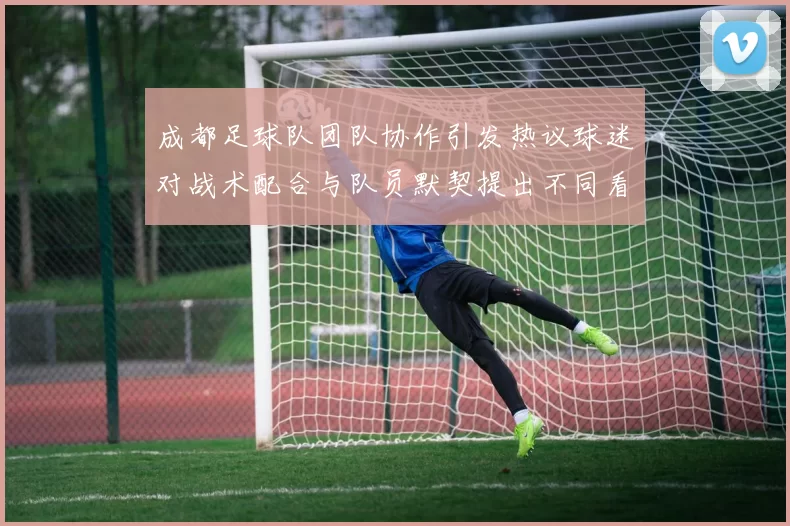 成都足球队团队协作引发热议球迷对战术配合与队员默契提出不同看法