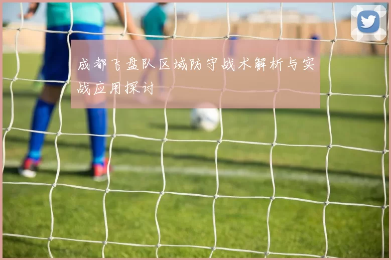 成都飞盘队区域防守战术解析与实战应用探讨