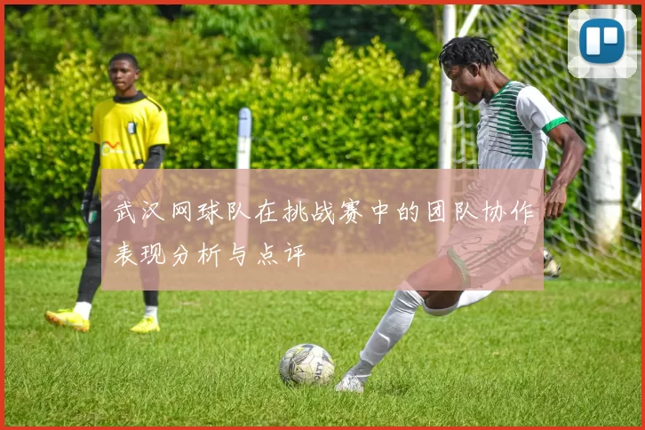 武汉网球队在挑战赛中的团队协作表现分析与点评
