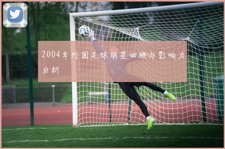 2004年外国足球明星回顾与影响力分析