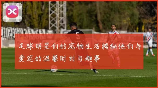 足球明星们的宠物生活揭秘他们与爱宠的温馨时刻与趣事