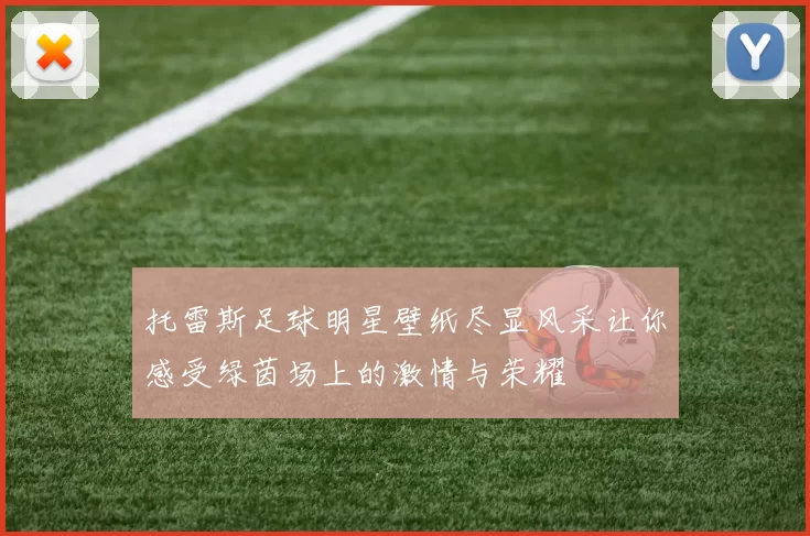 托雷斯足球明星壁纸尽显风采让你感受绿茵场上的激情与荣耀