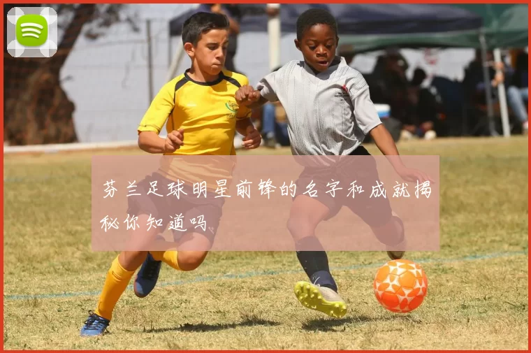 芬兰足球明星前锋的名字和成就揭秘你知道吗