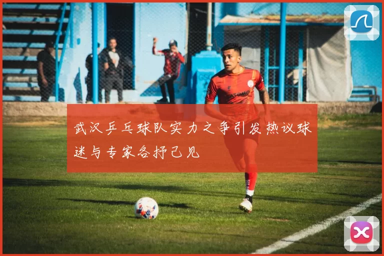 武汉乒乓球队实力之争引发热议球迷与专家各抒己见