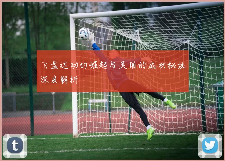 飞盘运动的崛起与吴丽的成功秘诀深度解析