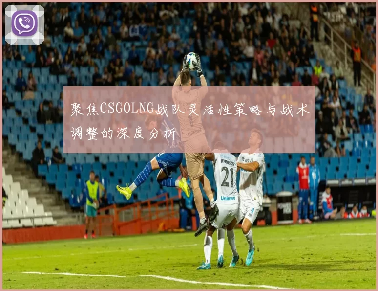 聚焦CSGOLNG战队灵活性策略与战术调整的深度分析