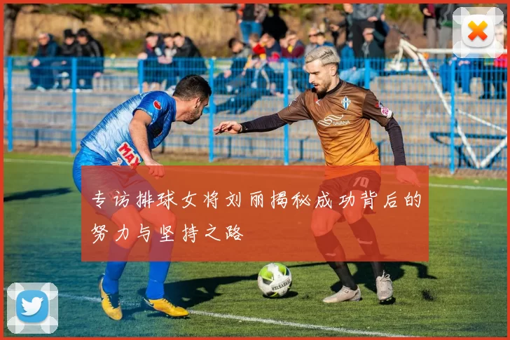 专访排球女将刘丽揭秘成功背后的努力与坚持之路