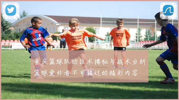 重庆篮球队的技术揭秘与战术分析篮球爱好者不可错过的精彩内容