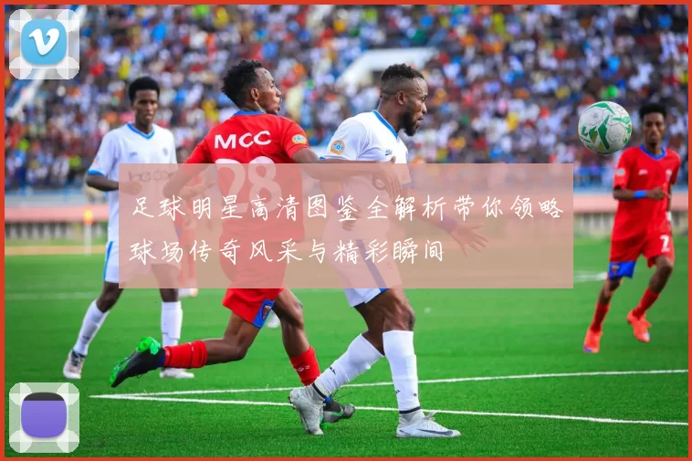 足球明星高清图鉴全解析带你领略球场传奇风采与精彩瞬间