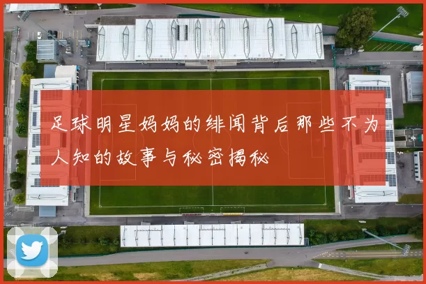 足球明星妈妈的绯闻背后那些不为人知的故事与秘密揭秘