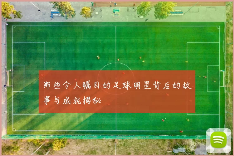 那些令人瞩目的足球明星背后的故事与成就揭秘