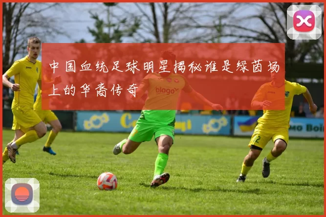 中国血统足球明星揭秘谁是绿茵场上的华裔传奇